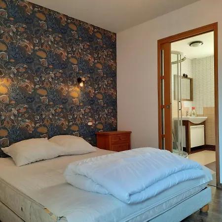 Magnifique Avec Piscine Interieure *