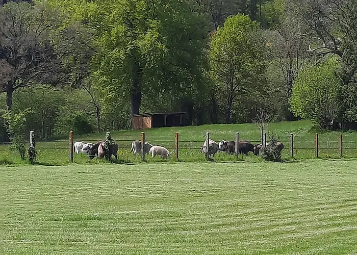 Magnifique Avec Piscine Interieure וילה Saint-Pois